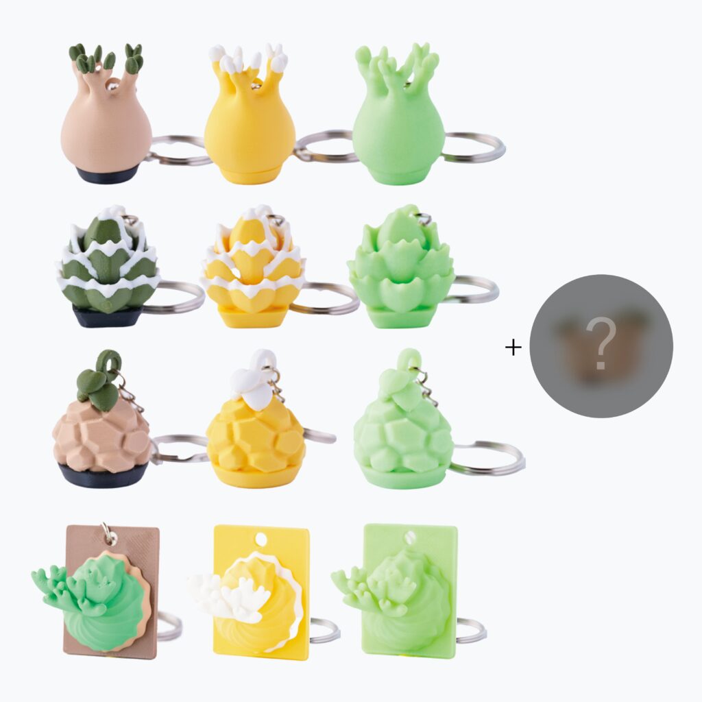 珍奇植物キーホルダーの画像