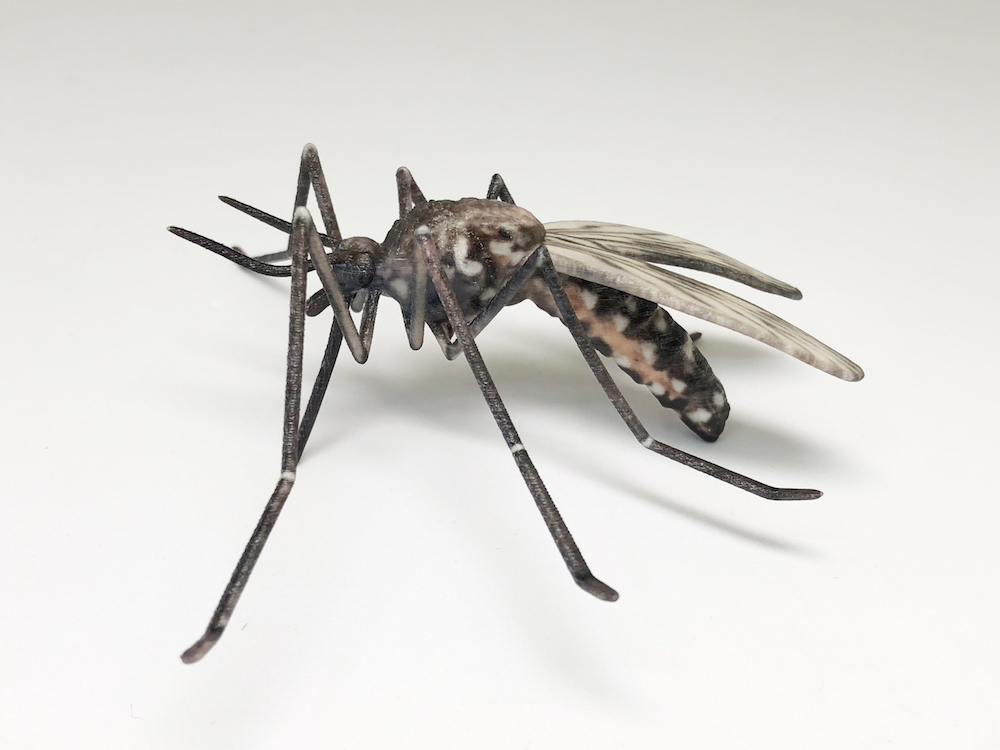 『ヤブ蚊』の原寸大模型
