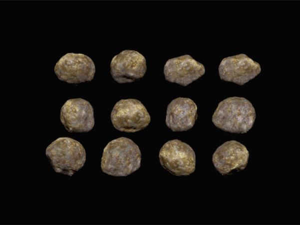 イベント展示用の等身大の石模型の画像