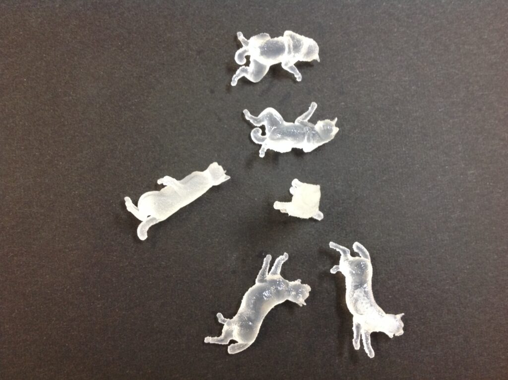 猫の模型の画像