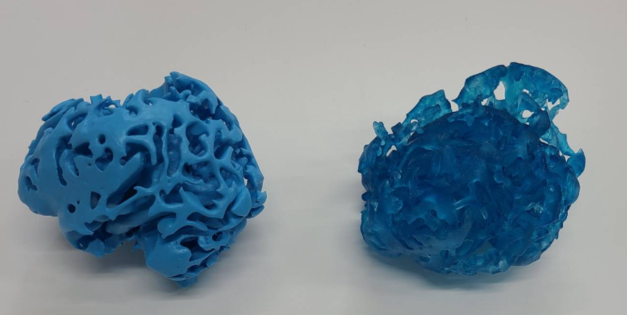 脳の模型「各素材」の画像